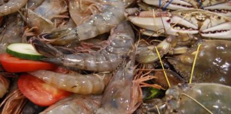 España consume el 8% de las exportaciones de pescados y mariscos de México