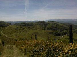 I Trail de Montaña de La Mudrera en Langreo