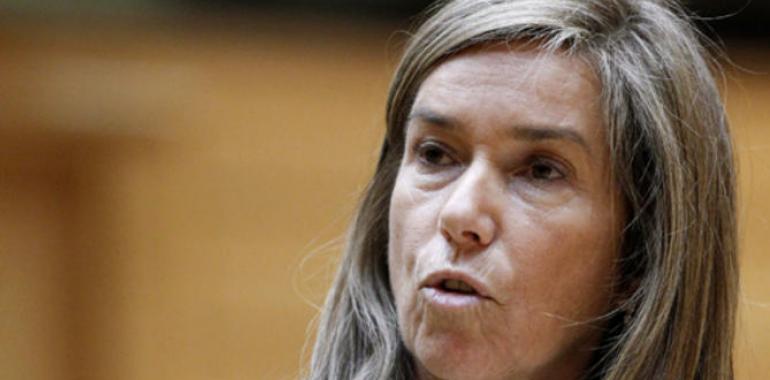 Igualdad condena el último asesinato a una mujer por violencia de género en Granada 
