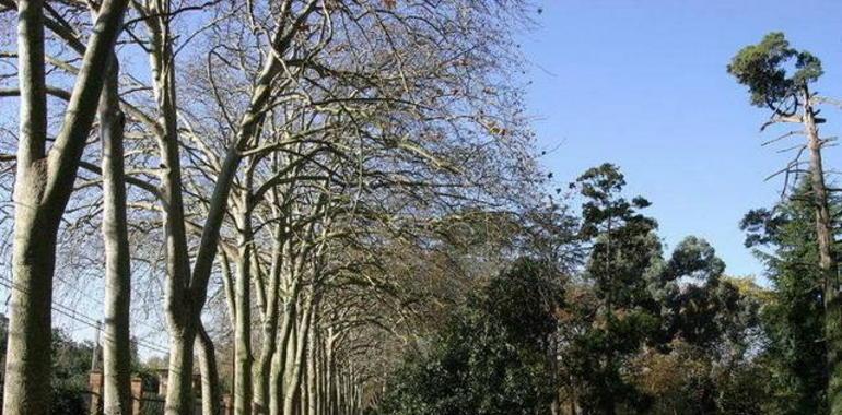 Una fiesta de época en el jardín de la isla