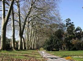 Una fiesta de época en el jardín de la isla