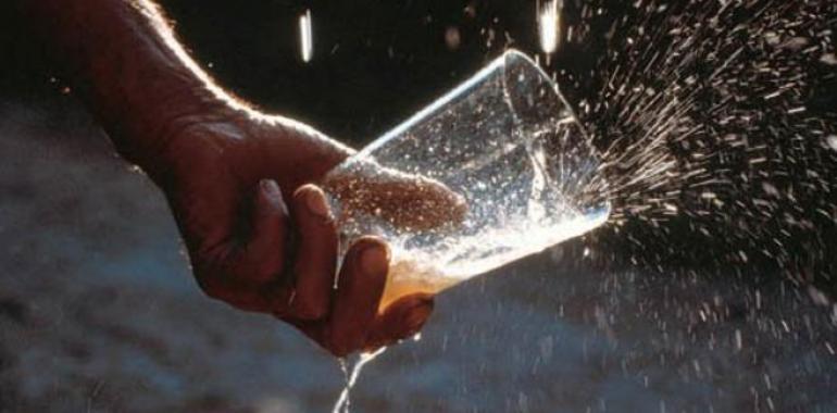 Llamada a los ayuntamientos para declarar la sidra bebida oficial en toda Asturias