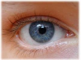 Nueva técnica para regenerar las células dañadas de la retina 