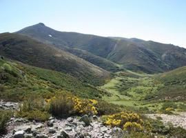 Todo listo para el I Ecotrail Fuentes Blancas-Omaña