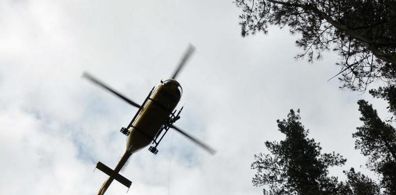 Leñador herido en una pierna al caérle un árbol enrriba en Brañamayor,  Boal