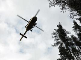 Leñador herido en una pierna al caérle un árbol enrriba en Brañamayor,  Boal