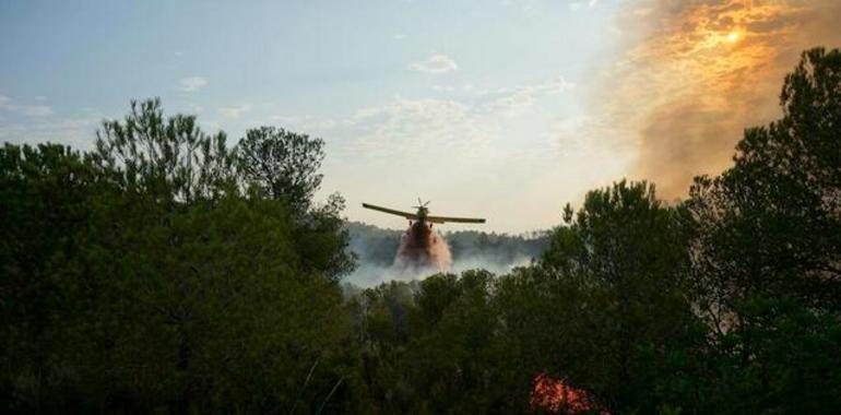 El incendio de Benaguasil, que olbigó a desalojar 75 viviendas, se estabiliza
