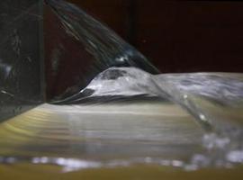 Logran congelar una ola en el tiempo 