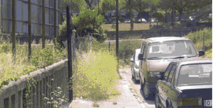 Piden una actuación urgente en Fuente del Prado para limpiar las aceras y un solar abandonado