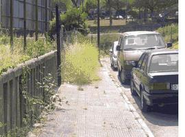 Piden una actuación urgente en Fuente del Prado para limpiar las aceras y un solar abandonado