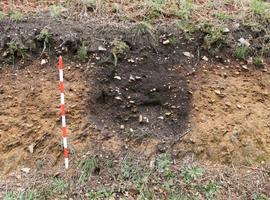 Inician excavación en Almoñu (Ayande)