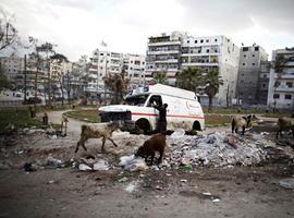A Call for Different Groups Fighting in Northern Syria