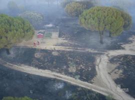 Evacuado un varón herido en el incendio de Cebreros, ya en nivel 2