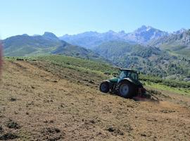 \Limpieza de cutis\ en la vertiente asturiana del Parque Nacional Picos de Europa