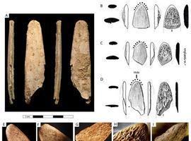 Los neandertales fueron pioneros en la creación de herramientas especializadas 