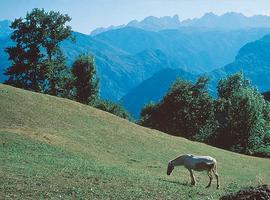 Comienza a tramitarse la ampliación del Parque Nacional Picos de Europa