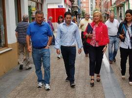 \"Lamento que Javier Fernández sólo haya disminuido el mastodóntico sector público en seis entidades\"