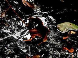 Chevron-Texaco dejó en la Amazonía una huella imborrable de muerte y contaminación  