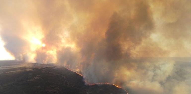 Se mantiene el Nivel 2 en el incendio forestal de Villardiegua de la Ribera (Zamora)