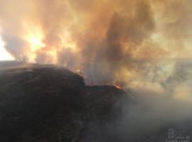 Se mantiene el Nivel 2 en el incendio forestal de Villardiegua de la Ribera (Zamora)
