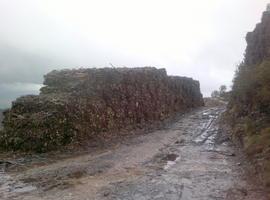 Coordinadora Ecoloxista presenta una batería de alegaciones a la Central de Biomasa de HUNOSA