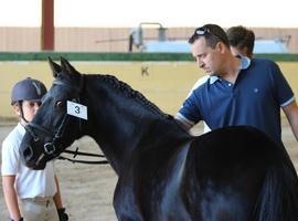 Todo listo en el Asturcón para el campeonato de España de Menores 2013