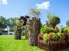 Delaveau completa el dominio francés en la primera grande del CSIO 2013