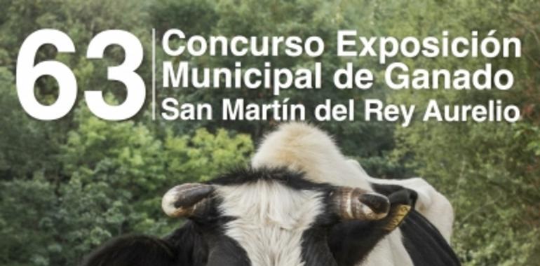 Asturcones en El Florán