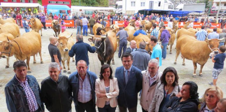 La cabaña autóctona de roxa asciende a 95.206 cabezas, con 3968 criadores