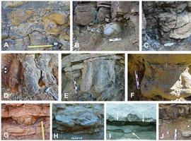 Los últimos dinosaurios \pico de pato\ vivieron en los Pirineos