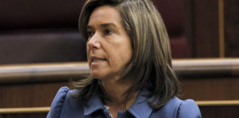 Igualdad condena el último caso confirmado de violencia de género en León 