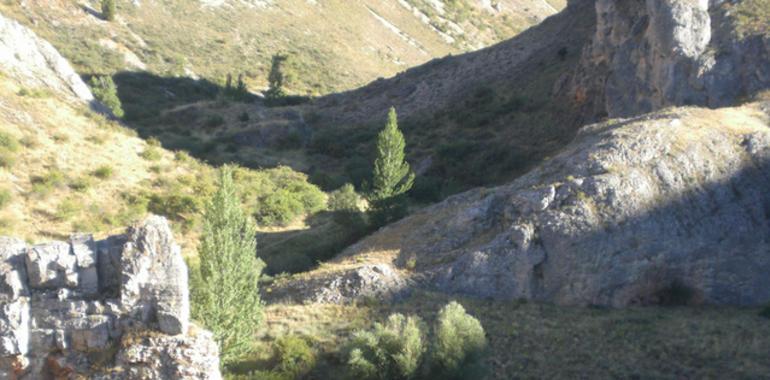 Rescatada una montañera herida en el Cañón de Caracena