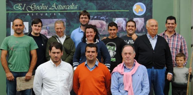 El gochu asturcelta sal con nuevos amigos de Agrosiero