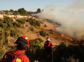 Asturias refuerza su estrategia contra el fuego, con una superficie forestal del 67% del territorio