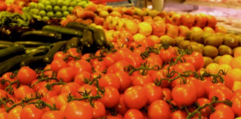 La balanza comercial de productos agrarios y pesqueros mejora en un 20 por ciento 