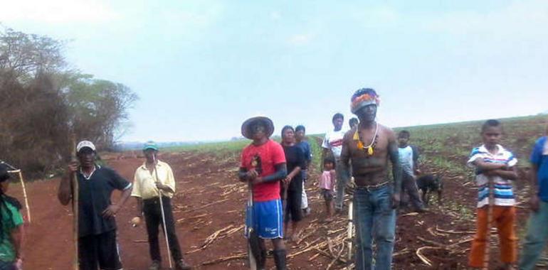 Una mujer guaraní lidera la reocupación de su tierra ancestral 