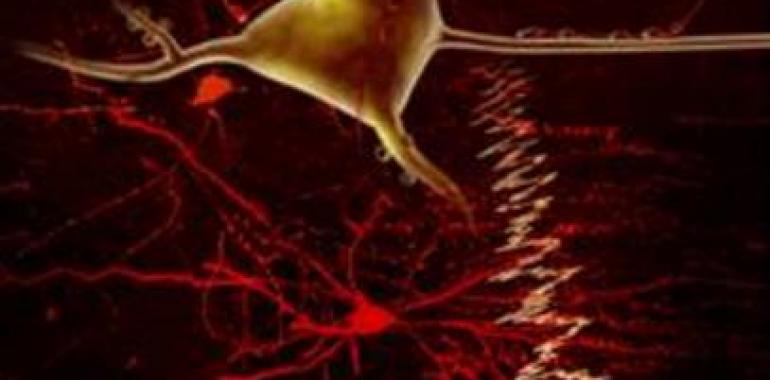 Valdecilla colabora en el mayor estudio realizado en el mundo sobre genética de la esquizofrenia 
