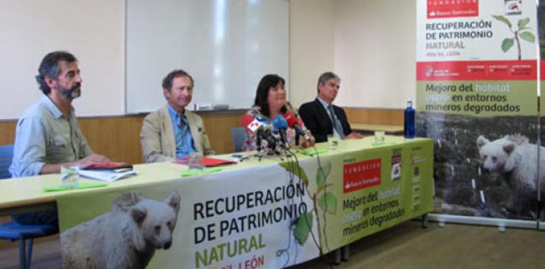  Fundación Banco Santander y la FOP plantan 18.000 árboles en el Alto Sil leonés 