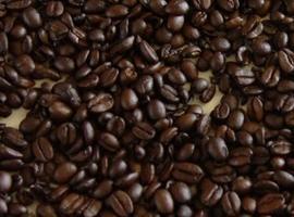México amplía su participación en la Organización Internacional del Café