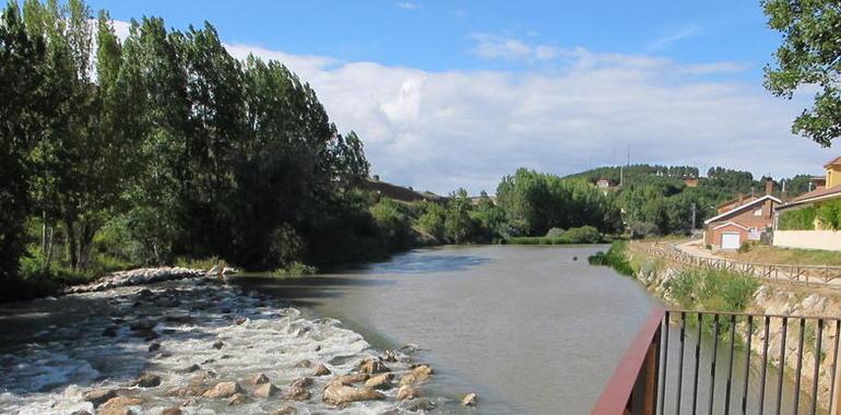 Dos actuaciones mejoran el estado ecológico del río Pisuerga