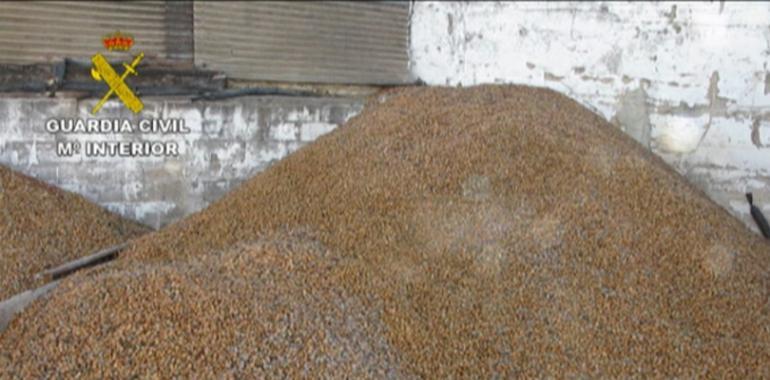 La Guardia Civil recupera 9.000 kilogramos de almendras y 20.000 de uvas 