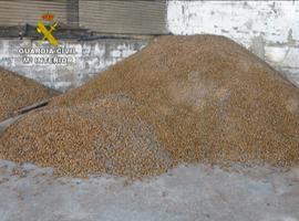 La Guardia Civil recupera 9.000 kilogramos de almendras y 20.000 de uvas 