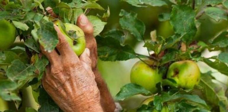 Bienestar Activo organiza I Jornada sobre Derechos y Buen Trato a las Personas Mayores