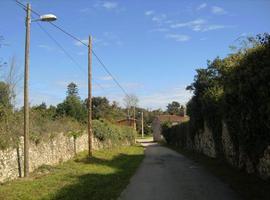 Alumbrado público en el camino de la vega La Portiella al Centro de Empresas, en La Arquera