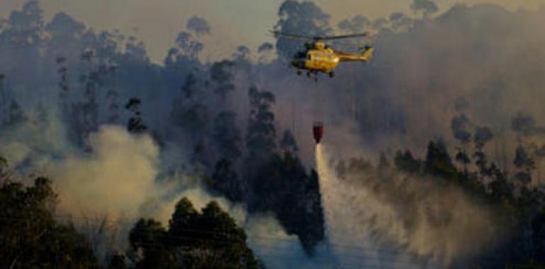 La paja es lo más eficaz para recuperar suelos afectados por incendios forestales