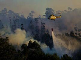 La paja es lo más eficaz para recuperar suelos afectados por incendios forestales