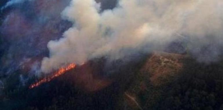 La Guardia Civil detiene a un cangués e imputa a otro por la presunta autoría de incendios forestales