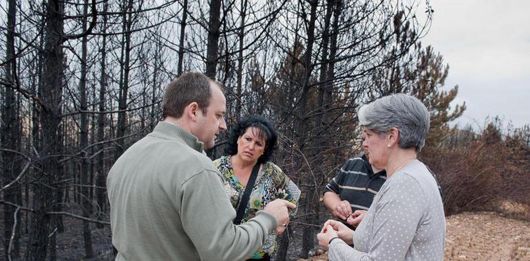 El Gobierno de Navarra costeará la restauración forestal de la zona afectada por el incendio de Arraiza 