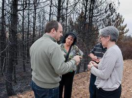 El Gobierno de Navarra costeará la restauración forestal de la zona afectada por el incendio de Arraiza 