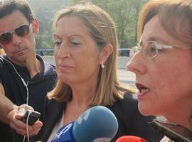 La consejera pide al Gobierno central que recurra al TS la sentencia contra la regasificadora del Musel 